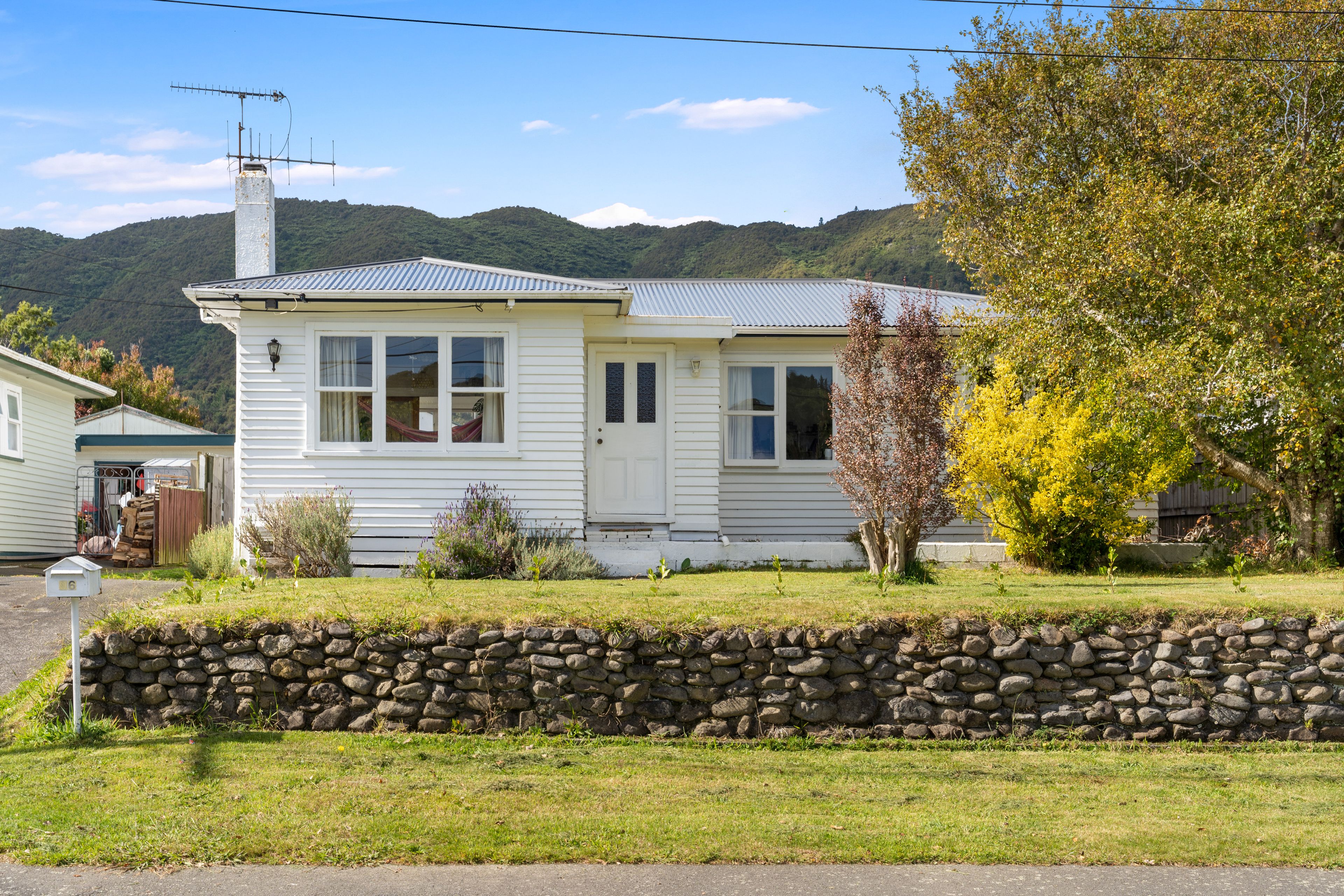 96 Frederick Street, Wainuiomata, Lower Hutt City, Wellington | Tall Poppy