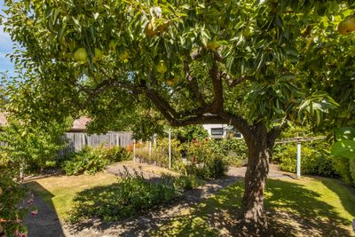 16 Gibbon Street, Sydenham, Christchurch City, Canterbury | Tall Poppy 