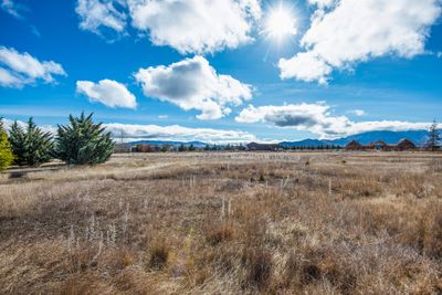 5 Hardacre Place, Omarama, Waitaki, Otago | Tall Poppy 