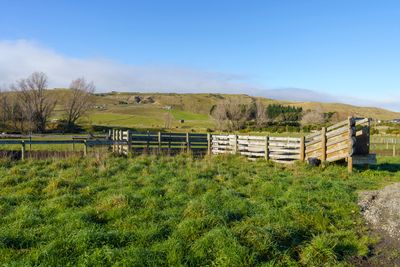 4 Baxters Road, Waipara, Hurunui, Canterbury | Tall Poppy 