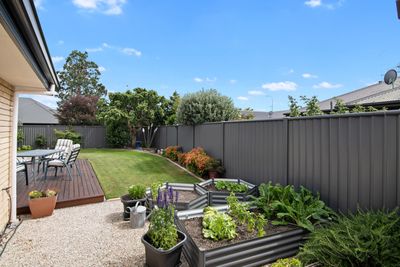 31 Cambelldon Crescent, Stoke, Nelson | Tall Poppy 