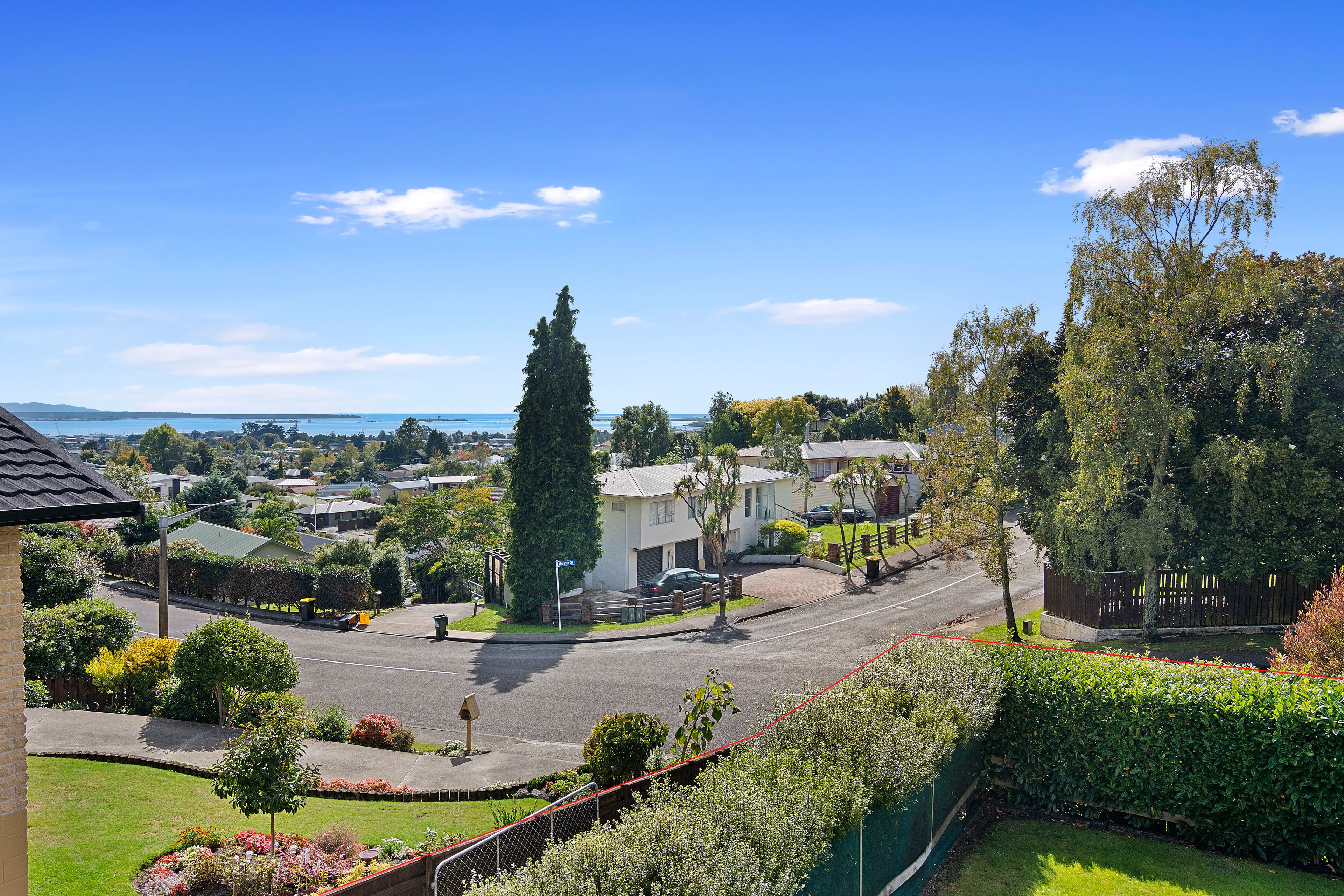 71 Queen Street, Richmond, Tasman, Nelson | Tall Poppy