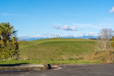 275 Neudorf Road, Upper Moutere, Tasman, Nelson | Tall Poppy 