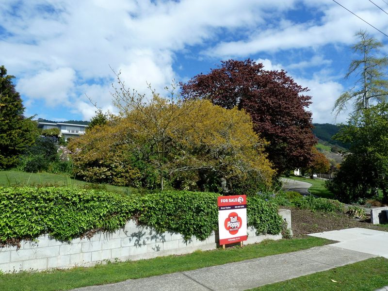 85A Hill Street, Richmond, Tasman