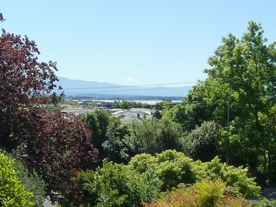 85A Hill Street, Richmond, Tasman, Nelson | Tall Poppy 