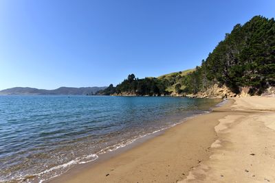 5497 Croisilles-French Pass Road, Marlborough Sounds, Marlborough | Tall Poppy 