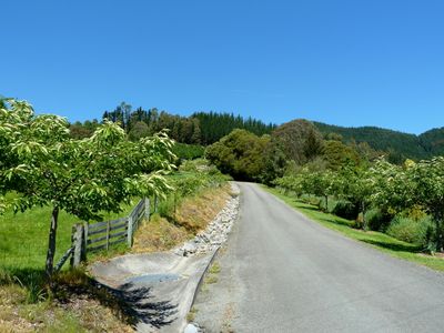 465c Hill Street, Richmond, Tasman, Nelson | Tall Poppy 