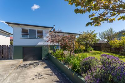 134 Songer Street, Stoke, Nelson | Tall Poppy 