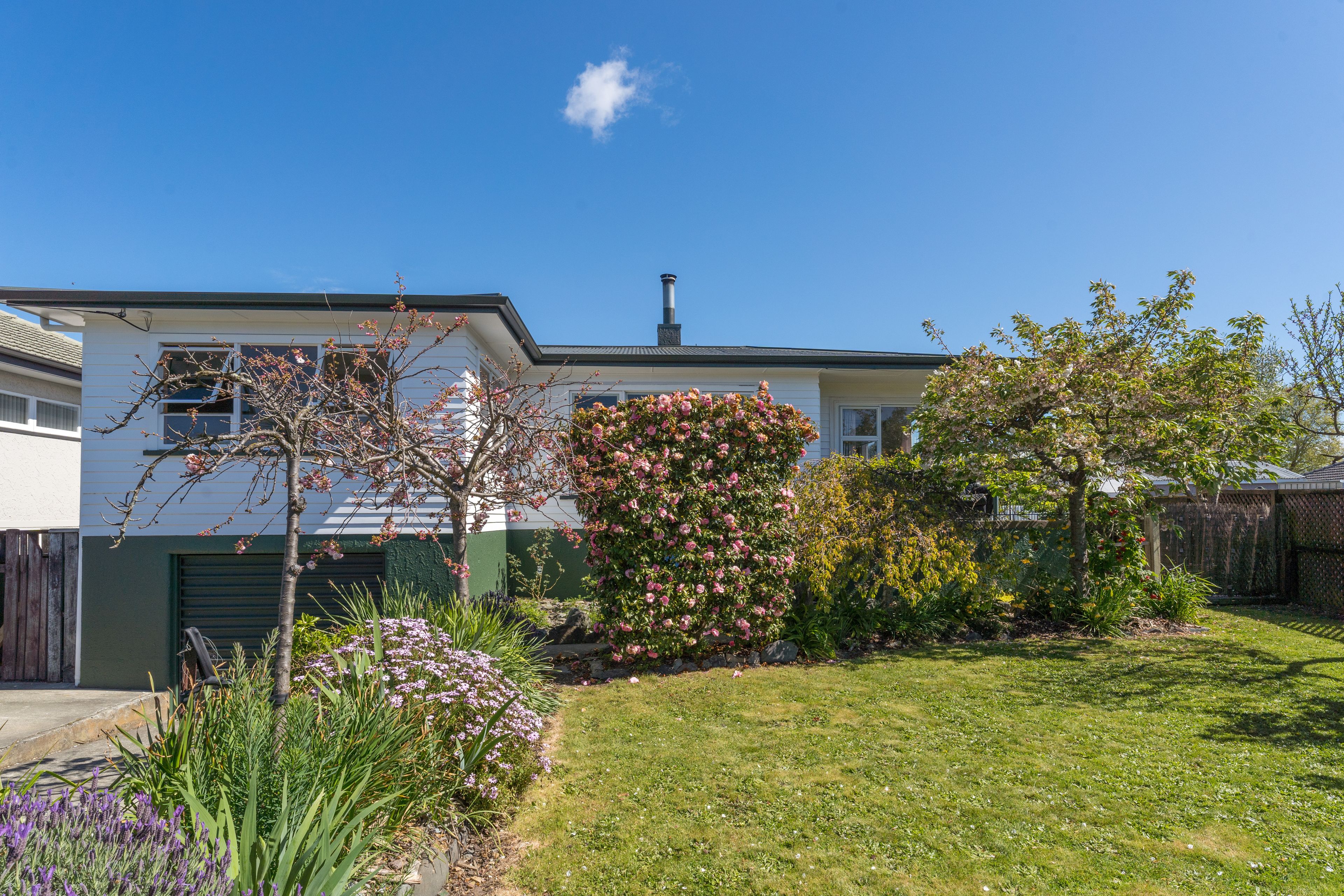 134 Songer Street, Stoke, Nelson | Tall Poppy