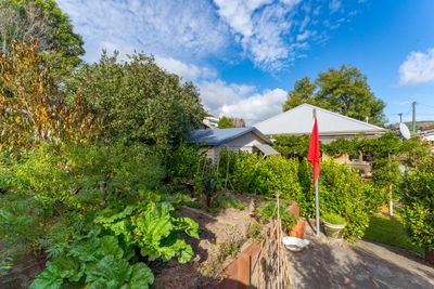 33 Franklyn Street, Nelson South, Nelson | Tall Poppy 