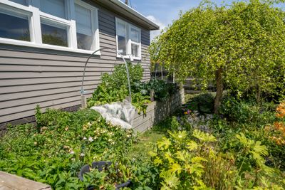 22 Nikau Street, Stoke, Nelson | Tall Poppy 