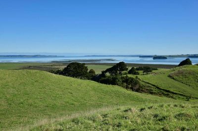 3356 Kaipara Coast Highway, Glorit, Rodney, Auckland | Tall Poppy 