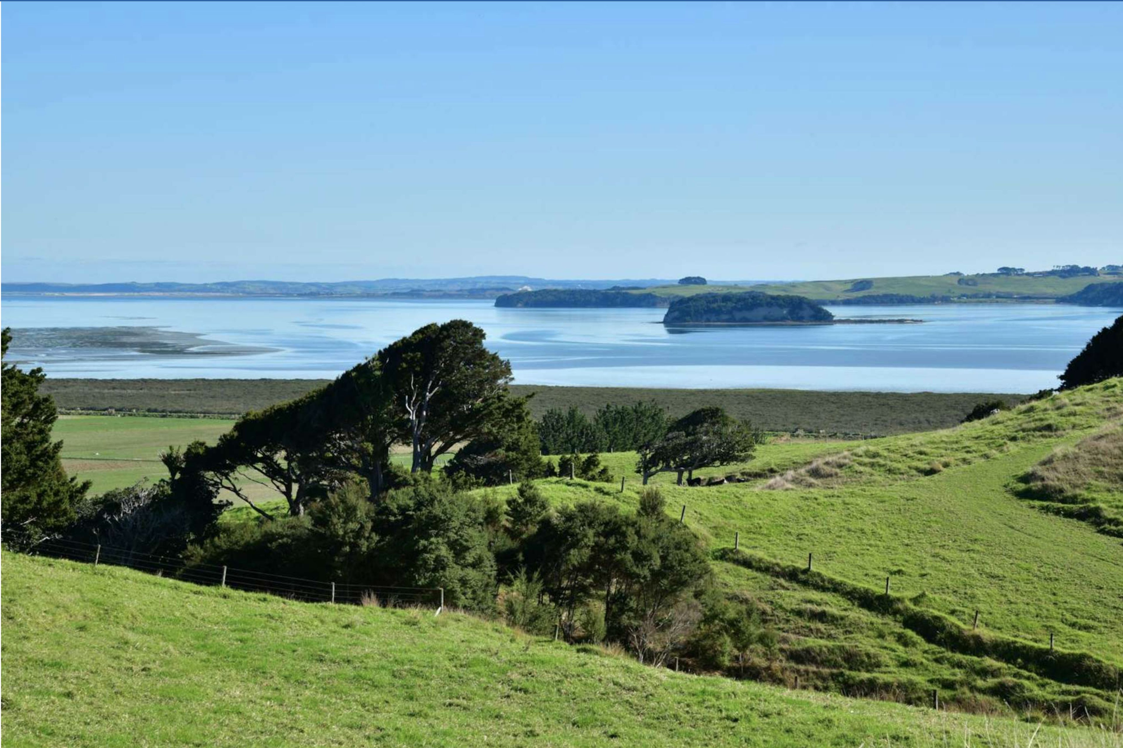 3356 Kaipara Coast Highway, Glorit, Rodney, Auckland | Tall Poppy