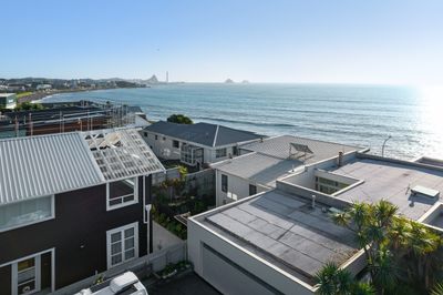 19 Buller Street, New Plymouth, Taranaki | Tall Poppy 