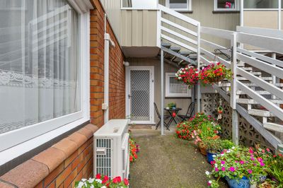 2/87 Brougham Street, New Plymouth, Taranaki | Tall Poppy 
