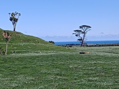 6907 South Road, Warea, New Plymouth, Taranaki | Tall Poppy 