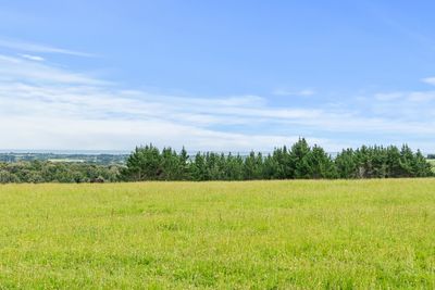 389 Wortley Road, Waiongana, New Plymouth, Taranaki | Tall Poppy 