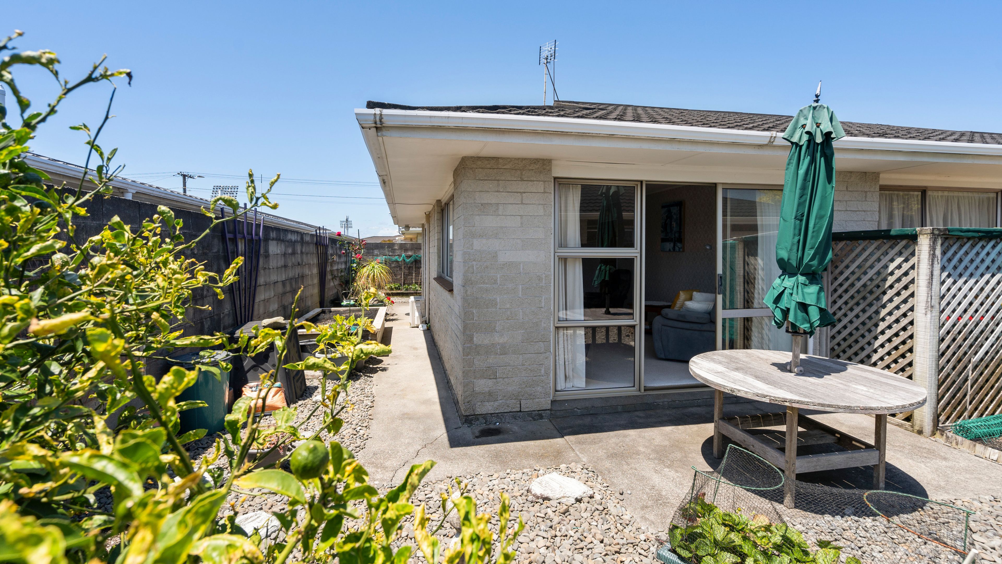 30A Tukapa Street, Westown, New Plymouth, Taranaki | Tall Poppy