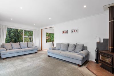 51 Roto Street, Tahunanui, Nelson | Tall Poppy 