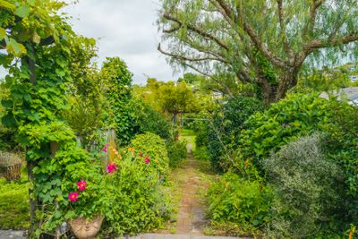 260 Rutherford Street, Nelson South, Nelson | Tall Poppy 