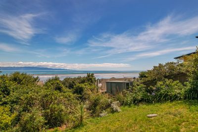 78 Tresillian Avenue, Marybank, Nelson | Tall Poppy 
