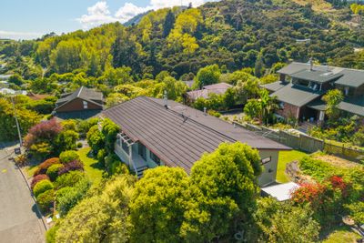 43 Newman Drive, Enner Glynn, Nelson | Tall Poppy 