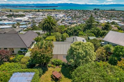 75 Chamberlain Street, Tahunanui, Nelson | Tall Poppy 