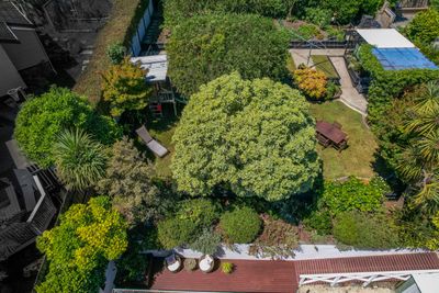 75 Chamberlain Street, Tahunanui, Nelson | Tall Poppy 