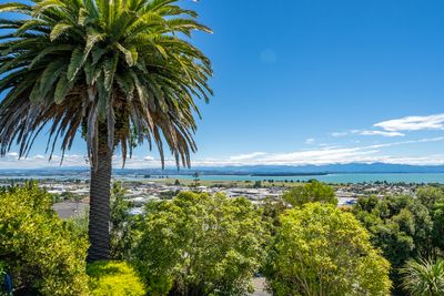 75 Chamberlain Street, Tahunanui, Nelson | Tall Poppy 