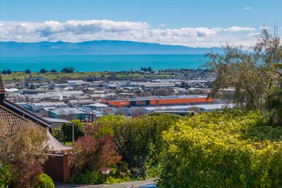 6 Calamaras Street, Enner Glynn, Nelson | Tall Poppy 