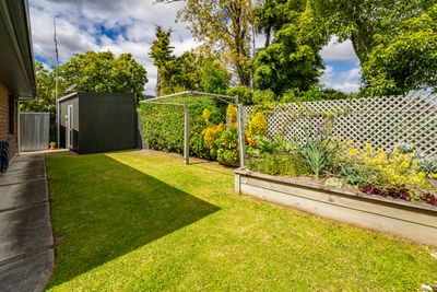 6 Willow Avenue, Stoke, Nelson | Tall Poppy 