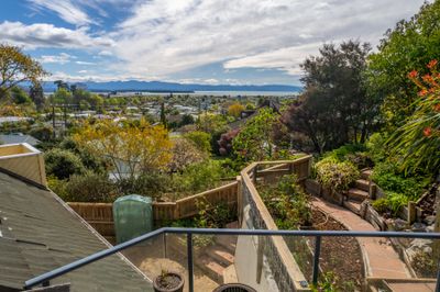 53 Marsden Road, Stoke, Nelson | Tall Poppy 