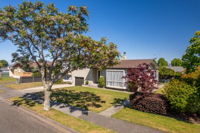 18 Marlowe Street, Stoke, Nelson | Tall Poppy 