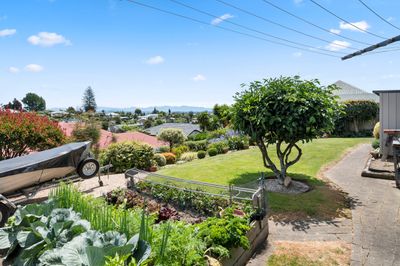 12 Shearer Terrace, Richmond, Tasman, Nelson | Tall Poppy 