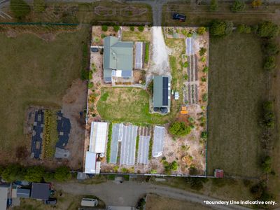 66 London Street, Hampden, Waitaki, Otago | Tall Poppy 