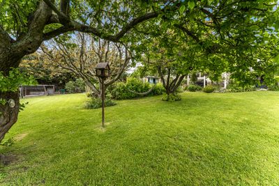 9 and 11 Anderson Street, Kakanui, Waitaki, Otago | Tall Poppy 