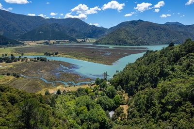 4315 State Highway 6, Havelock, Marlborough | Tall Poppy 
