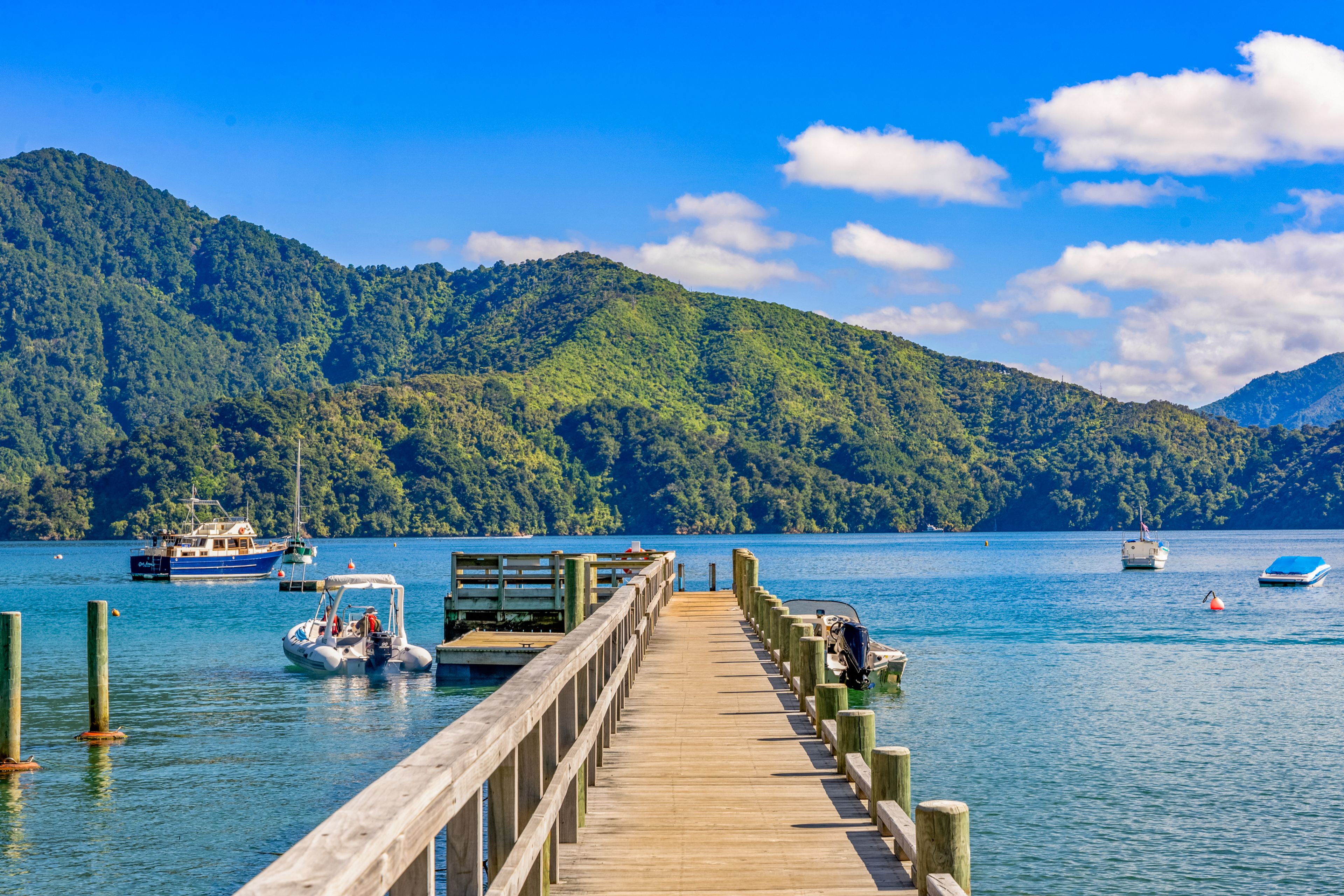 12 Manuka Drive, Ngakuta Bay, Marlborough Sounds, Marlborough | Tall Poppy