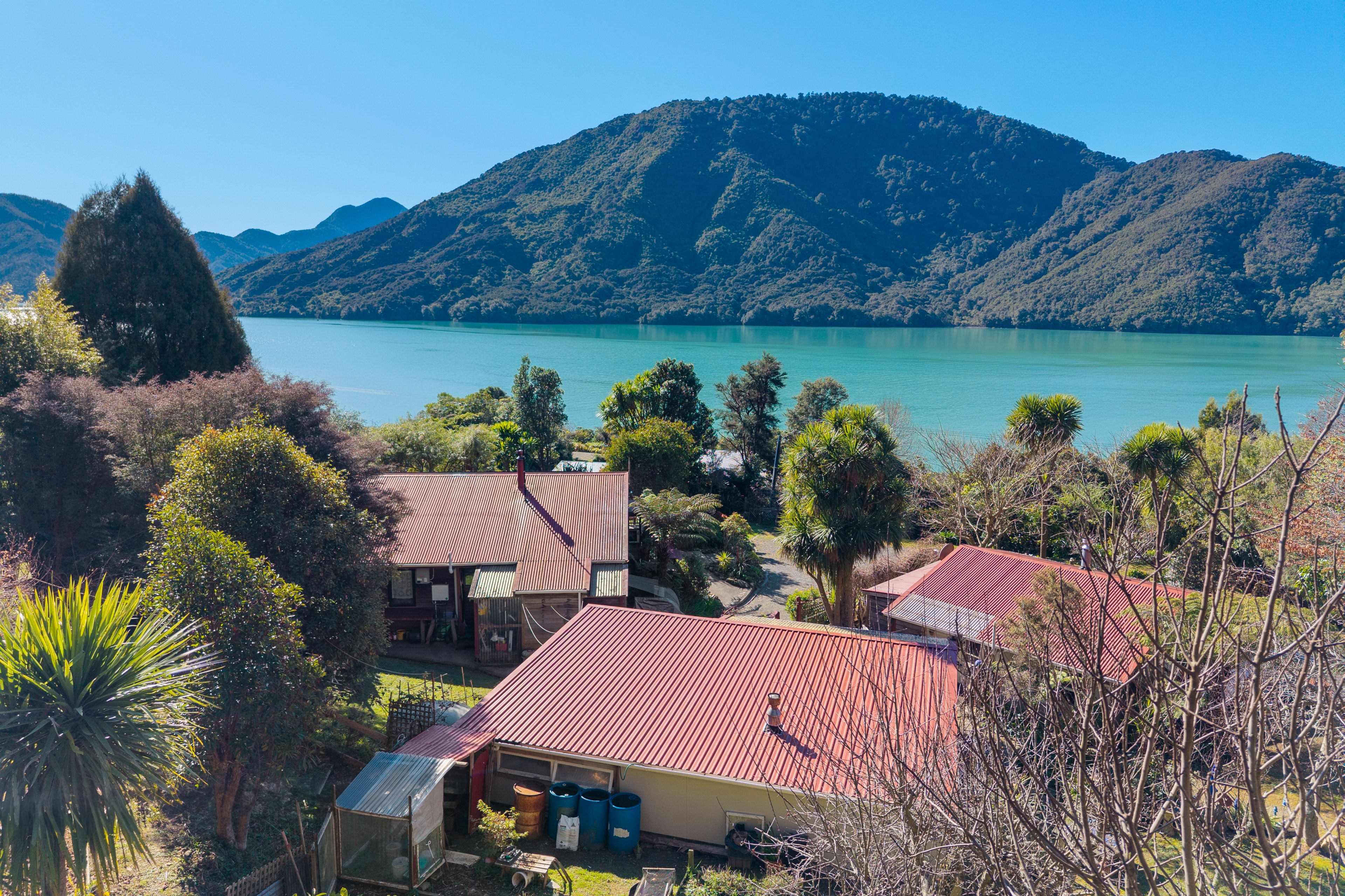 810A Queen Charlotte Drive, Havelock, Marlborough | Tall Poppy