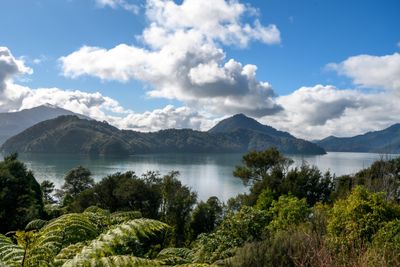 Lot 8-9 Whatanihi Pelorus, Marlborough Sounds, Marlborough | Tall Poppy 