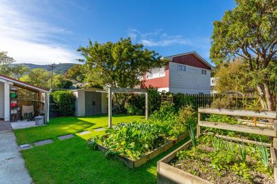30 Buller Street, Picton, Marlborough | Tall Poppy 