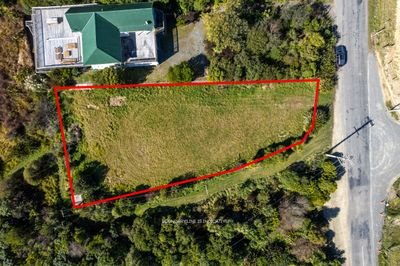571 Port Underwood Road, Whatamango Bay, Marlborough | Tall Poppy 