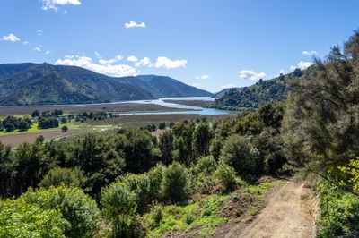 1 Butlers Road, Havelock, Marlborough | Tall Poppy 