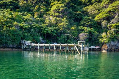 Lot 1 Miro Bay, Pelorus Sounds, Marlborough | Tall Poppy 