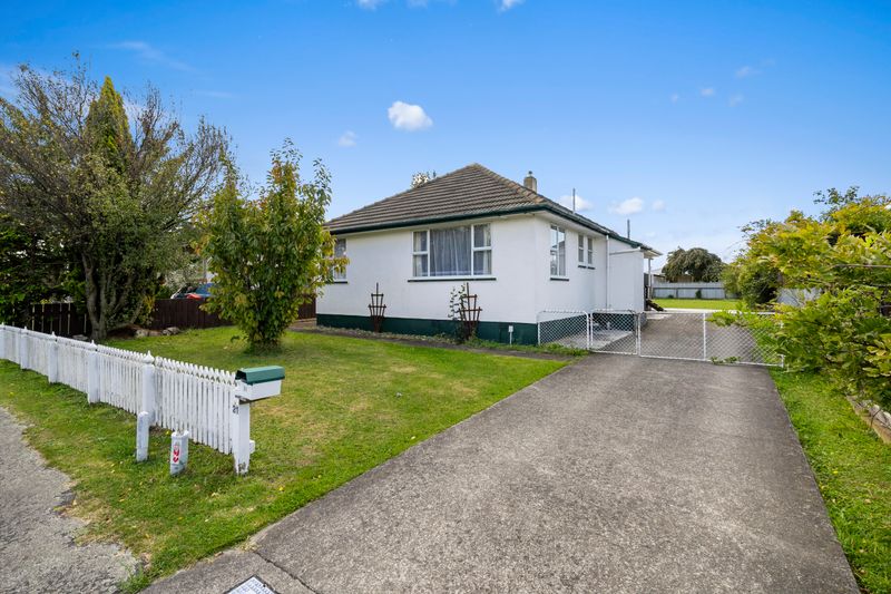 21 Manchester Street, Takaro, Palmerston North City
