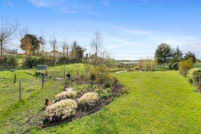 16 Mount Biggs Road, Halcombe, Manawatu, Manawatu | Tall Poppy 