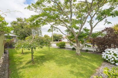 42 Tararua Terrace, Cloverlea, Palmerston North City, Manawatu | Tall Poppy 