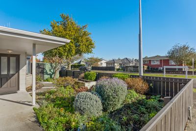 54 Russell Street, Palmerston North, Palmerston North City, Manawatu | Tall Poppy 