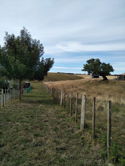 80D Cemetery Road, Sanson, Manawatu | Tall Poppy 