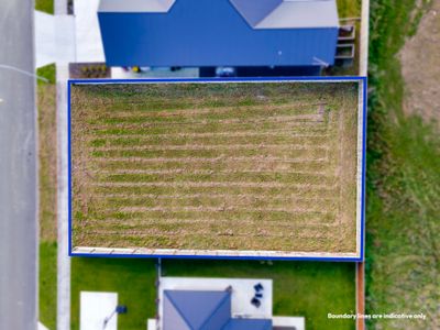 58 Accolade Street, Feilding, Manawatu | Tall Poppy 